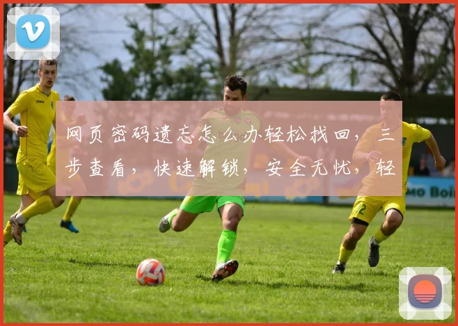 网页密码遗忘怎么办轻松找回，三步查看，快速解锁，安全无忧，轻松解决