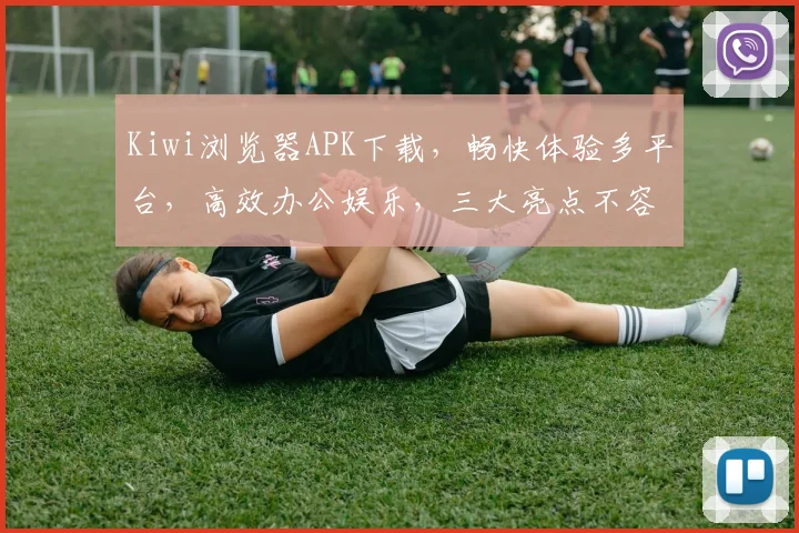 Kiwi浏览器APK下载，畅快体验多平台，高效办公娱乐，三大亮点不容错过，必看