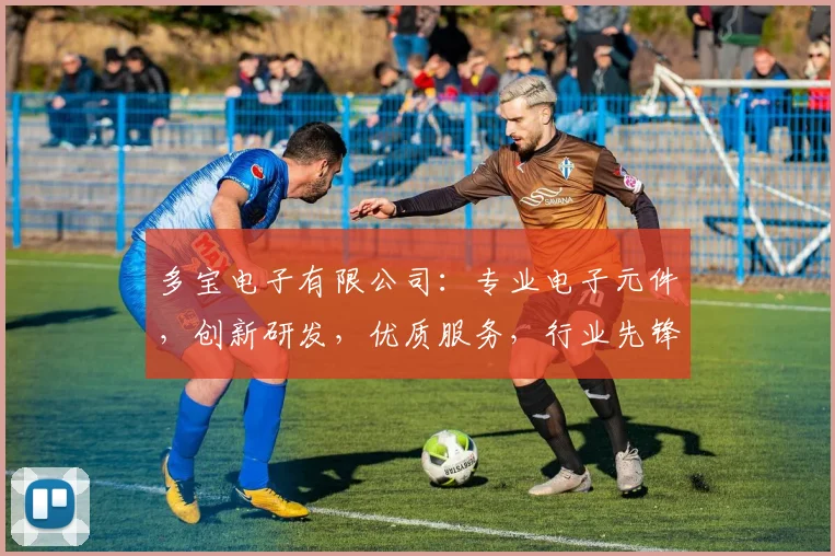 多宝电子有限公司：专业电子元件，创新研发，优质服务，行业先锋，值得信赖