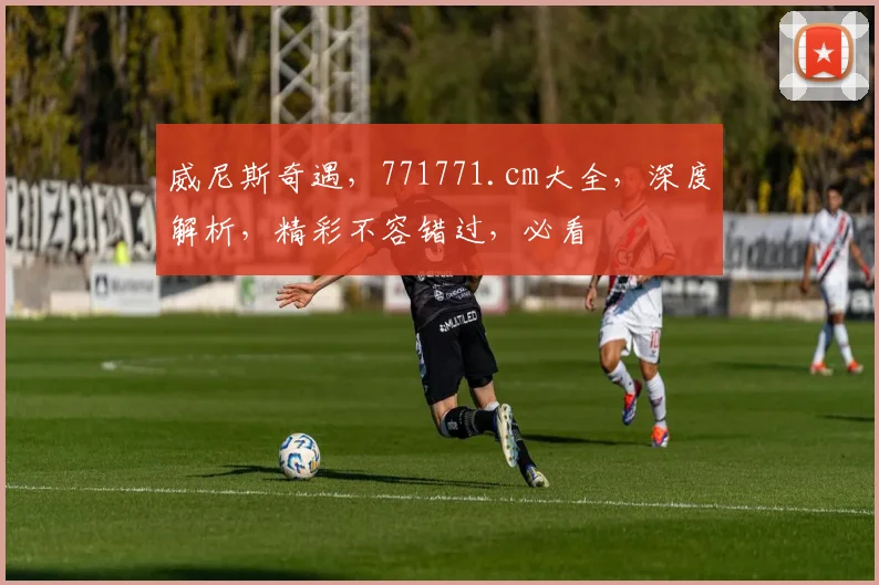 威尼斯奇遇，771771.cm大全，深度解析，精彩不容错过，必看